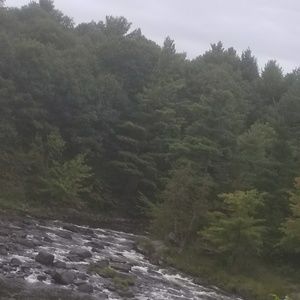 Meet your Posher, Bob